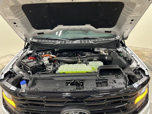 New 2025 Ford F150 XLT w/ Equipment Group 302A MID image 33