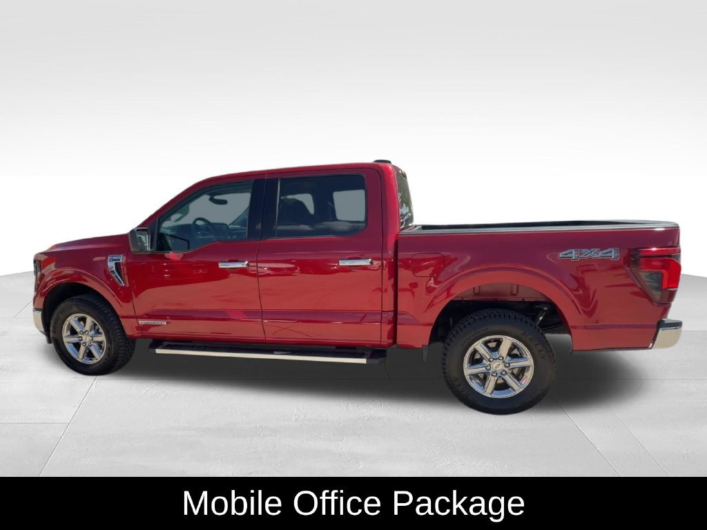 Used 2025 Ford F150 XLT w/ Equipment Group 301A Standard AWD/4WD image 5