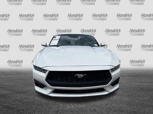 Used 2024 Ford Mustang Premium RWD image 3