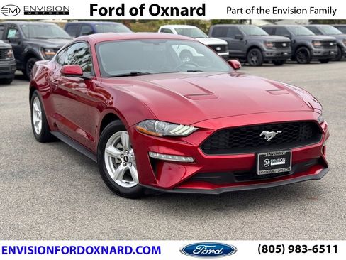 Certified 2019 Ford Mustang Coupe image 1