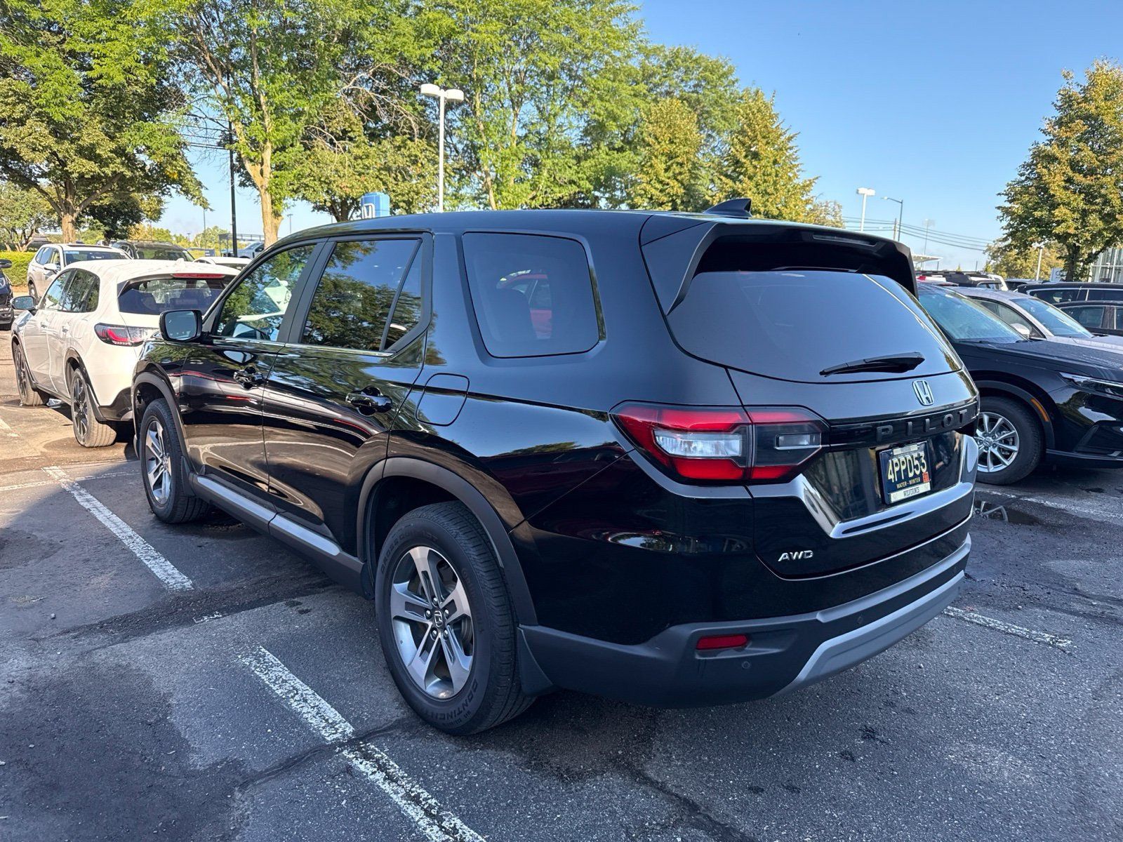Used 2025 Honda Pilot EX-L image 5