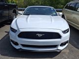 Used 2017 Ford Mustang Premium image 2