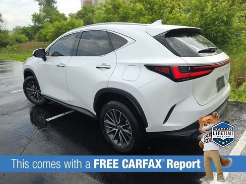 Used 2022 Lexus NX 250 AWD image 5