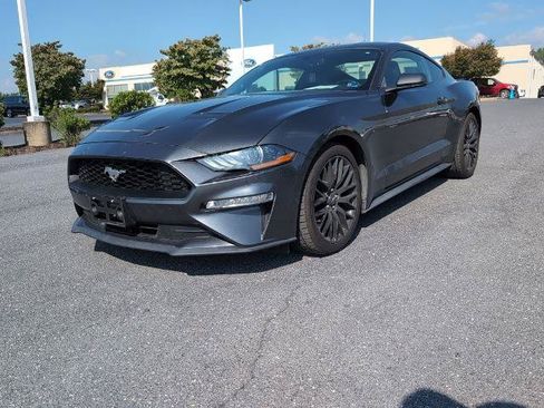 Certified 2019 Ford Mustang Premium RWD image 1