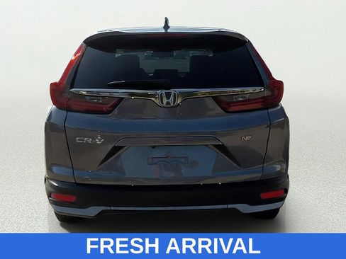 Used 2020 Honda CR-V EX-L image 6