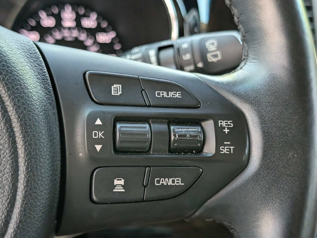 Used 2018 Kia Sedona SX Limited FWD image 28