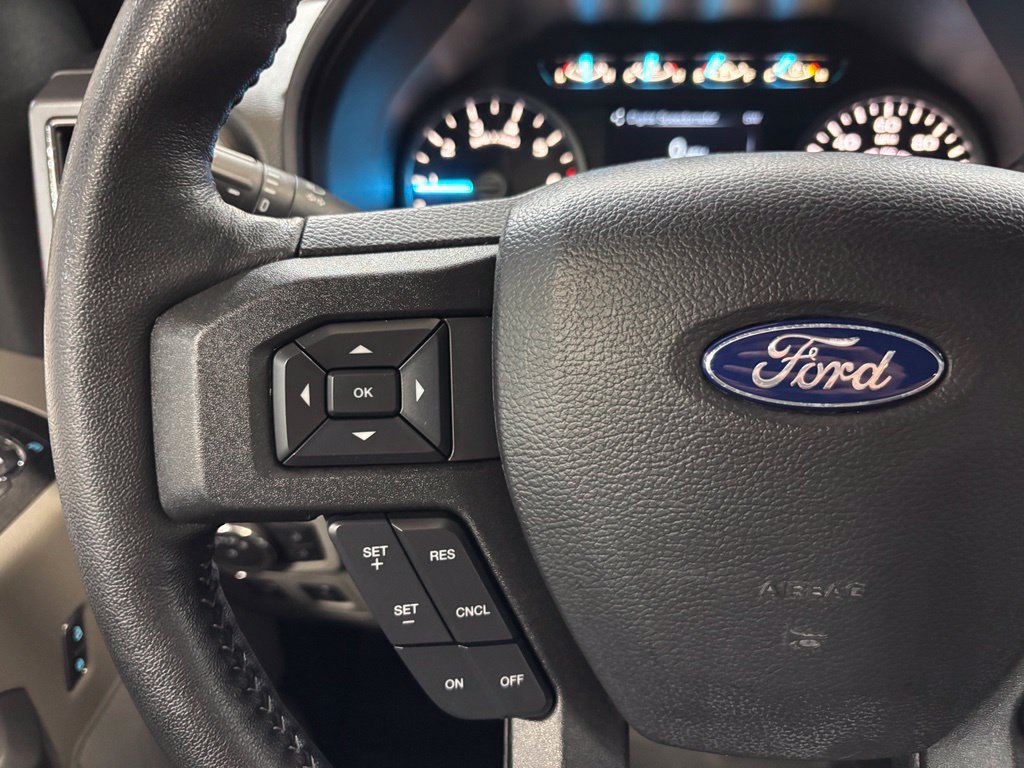 Used 2019 Ford F150 XLT w/ Equipment Group 302A Luxury AWD/4WD image 12