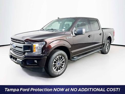 Used 2019 Ford F150 XLT w/ Equipment Group 302A Luxury AWD/4WD image 1