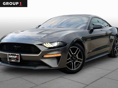 Used 2020 Ford Mustang Coupe w/ Equipment Group 101A