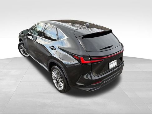 Used 2025 Lexus NX 350 AWD w/ Rear Seat Package image 4