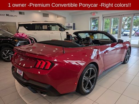 Used 2024 Ford Mustang Premium RWD image 4