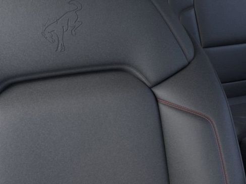 New 2025 Ford Bronco Stroppe Edition image 18