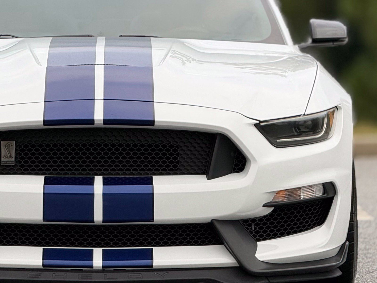 Used 2016 Ford Mustang Shelby GT350 w/ Technology Package RWD image 15