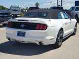 Used 2015 Ford Mustang Convertible w/ Equipment Group 051A image 6