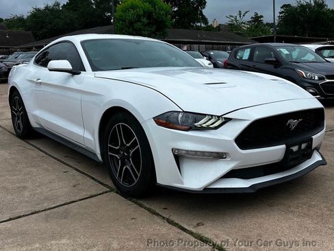 Used 2019 Ford Mustang Coupe w/ Equipment Group 101A RWD image 4