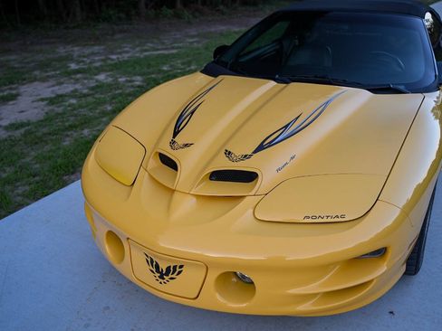Used 2002 Pontiac Firebird Trans Am RWD image 56