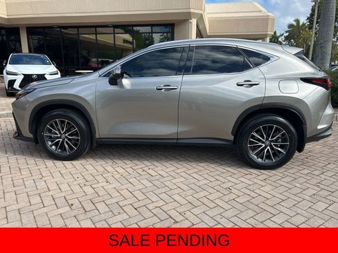 Certified 2024 Lexus NX 350h AWD image 7
