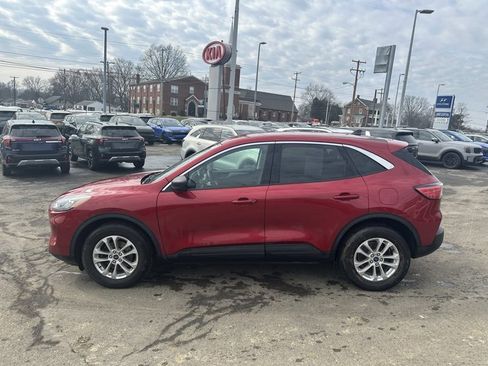 Used 2022 Ford Escape SE w/ Cold Weather Package image 4