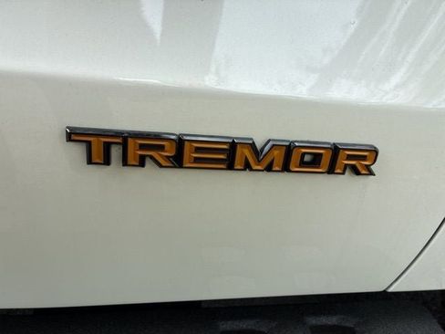 New 2026 Ford Expedition Tremor image 29
