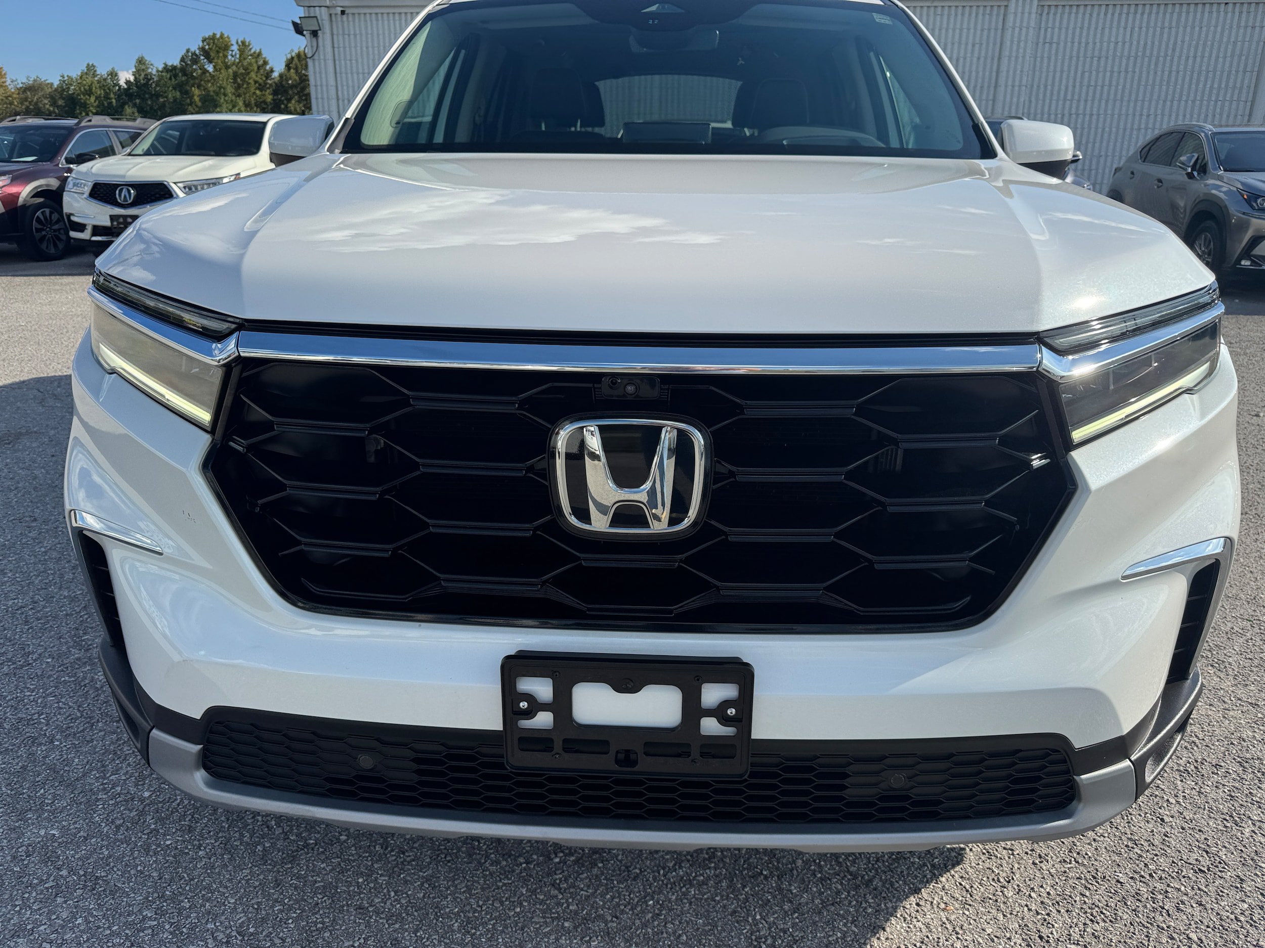 Used 2023 Honda Pilot Elite image 3