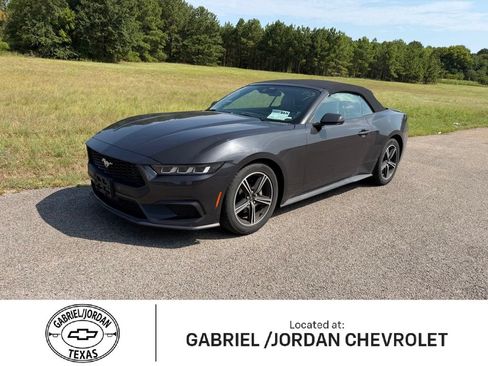 Used 2024 Ford Mustang Premium RWD image 1