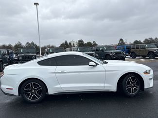 Used 2019 Ford Mustang Premium video 2