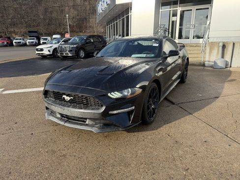 Used 2019 Ford Mustang Coupe w/ Ecoboost Performance Package image 3