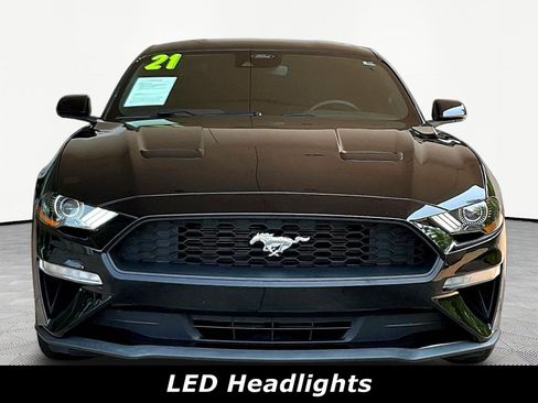 Used 2021 Ford Mustang Coupe w/ Equipment Group 101A RWD image 2