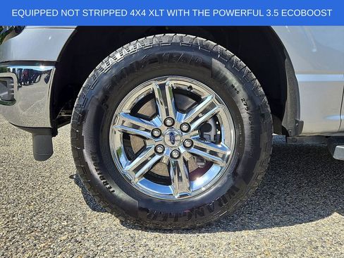 Used 2025 Ford F150 XLT w/ Equipment Group 301A Standard AWD/4WD image 8