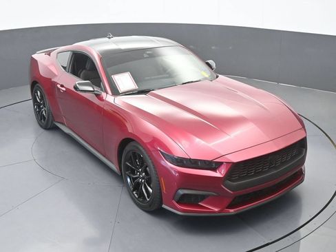 Used 2025 Ford Mustang Coupe w/ Mustang Nite Pony Package RWD image 42