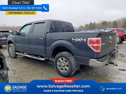 Used 2013 Ford F150 XLT w/ XLT Chrome Pkg image 3