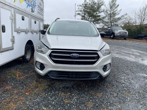 Used 2019 Ford Escape SE image 3