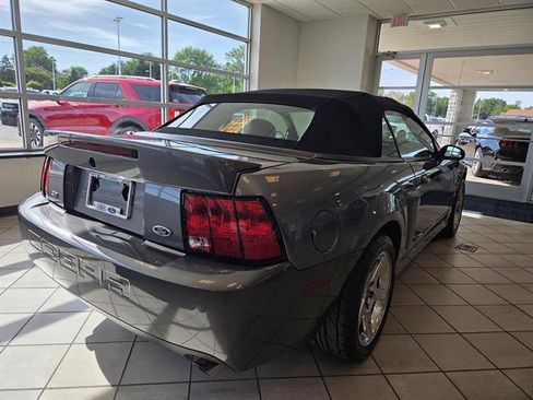 Used 2003 Ford Mustang Cobra RWD image 6