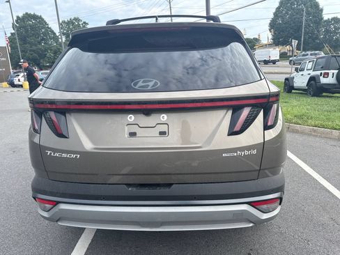 Used 2025 Hyundai Tucson Limited AWD/4WD image 7