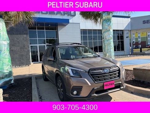 Used 2023 Subaru Forester Limited image 1
