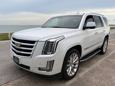 Used 2018 Cadillac Escalade Luxury AWD/4WD image 1