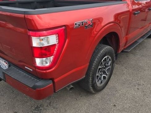 Used 2023 Ford F150 XL w/ STX Appearance Package AWD/4WD image 5