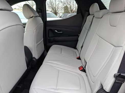 New 2026 Hyundai Santa Cruz SEL image 5