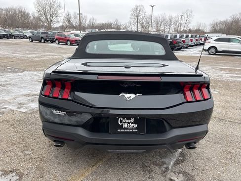 Used 2025 Ford Mustang Premium w/ Wheel & Stripe Package image 3