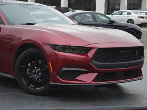 Used 2025 Ford Mustang Coupe w/ Mustang Nite Pony Package image 2