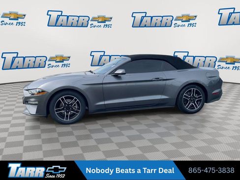 Used 2022 Ford Mustang Premium RWD image 5