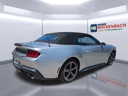 Used 2024 Ford Mustang Premium