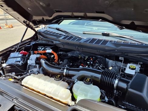 Used 2025 Ford F150 XLT w/ Equipment Group 303A High AWD/4WD image 10