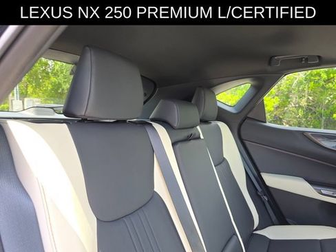 Used 2023 Lexus NX 250 FWD w/ Cold Area Package image 14