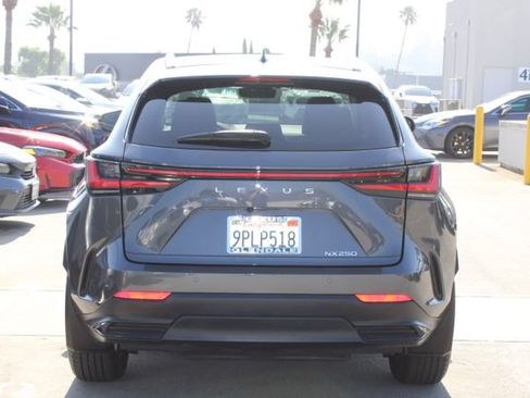 Certified 2025 Lexus NX 250 FWD image 20