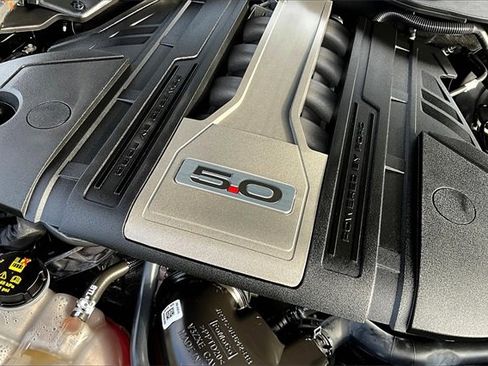 Used 2019 Ford Mustang GT Premium w/ Equipment Group 401A image 27