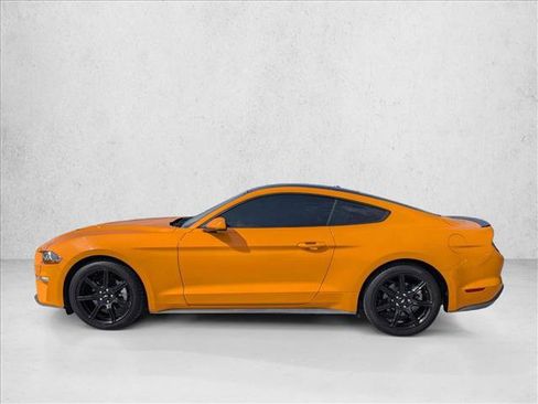 Used 2019 Ford Mustang Coupe w/ Equipment Group 101A RWD image 8