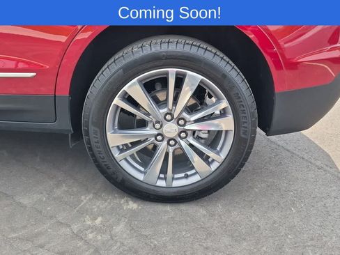 Used 2025 Cadillac XT5 Premium Luxury AWD/4WD image 13