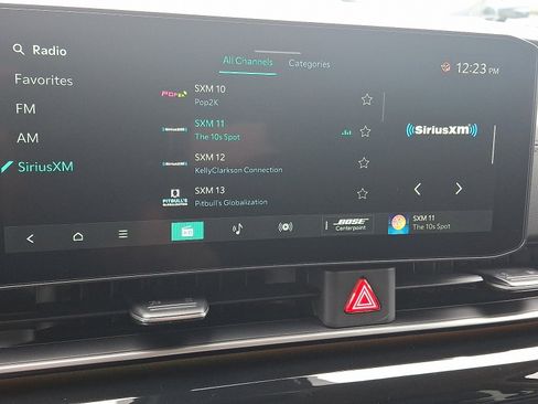 New 2026 Kia Carnival SX Prestige image 13