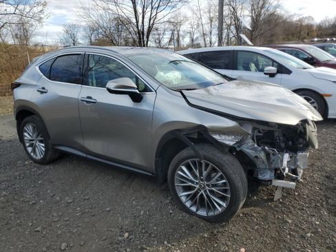 Used 2025 Lexus NX 350h AWD w/ Premium Package image 1